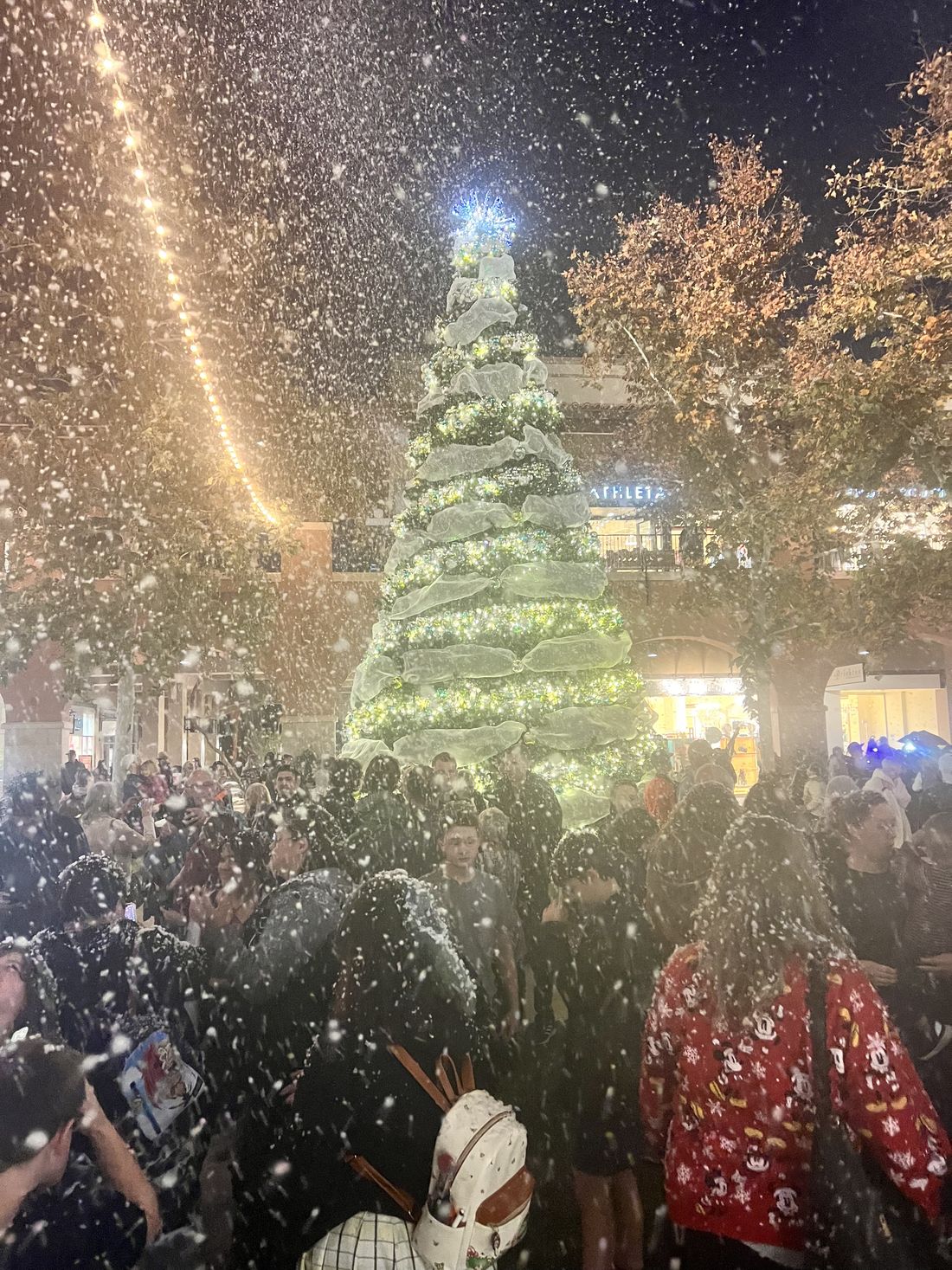 Snow falling around a lit Christmas tree at a Nor'Easter Snow Effects event